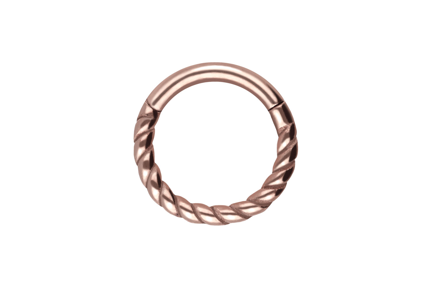 Chirurgenstahl Segmentring Clicker Piercing GEDREHT
